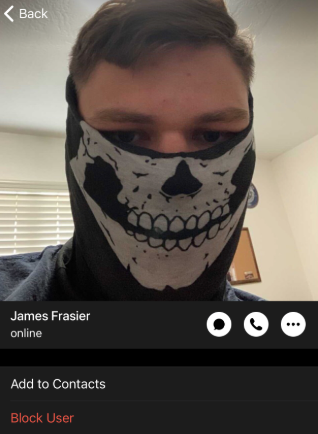 A messaging app profile screenshot. Profile photo shows a person wearing a black-and-white skull-patterned face mask covering nose and mouth, revealing only their eyes and forehead. Display name: "James Frasier," status "online," with "Add to Contacts" and "Block User" options.