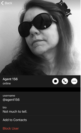 Screenshot of a Telegram profile page for "Agent 156" (@agent156), showing status "online." Profile picture is a black-and-white portrait of a person with long hair wearing large dark sunglasses and a decorative bow or accessory in their hair. Bio reads "Not much to tell." Interface includes camera, phone, and menu icons, plus "Add to Contacts" and "Block User" buttons.