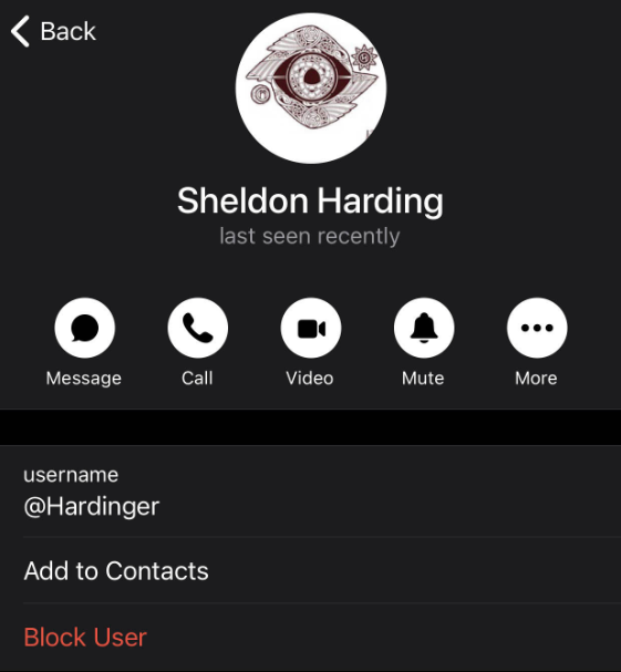 Screenshot of a messaging app profile page for "Sheldon Harding" (@Hardinger), showing status "last seen recently." Profile picture displays a white circular icon with an illustration of an eye inside a geometric shape resembling wings or a triangle. Interface shows five round icons labeled "Message," "Call," "Video," "Mute," and "More." Options for "Add to Contacts" and "Block User" appear below. Dark mode background throughout.