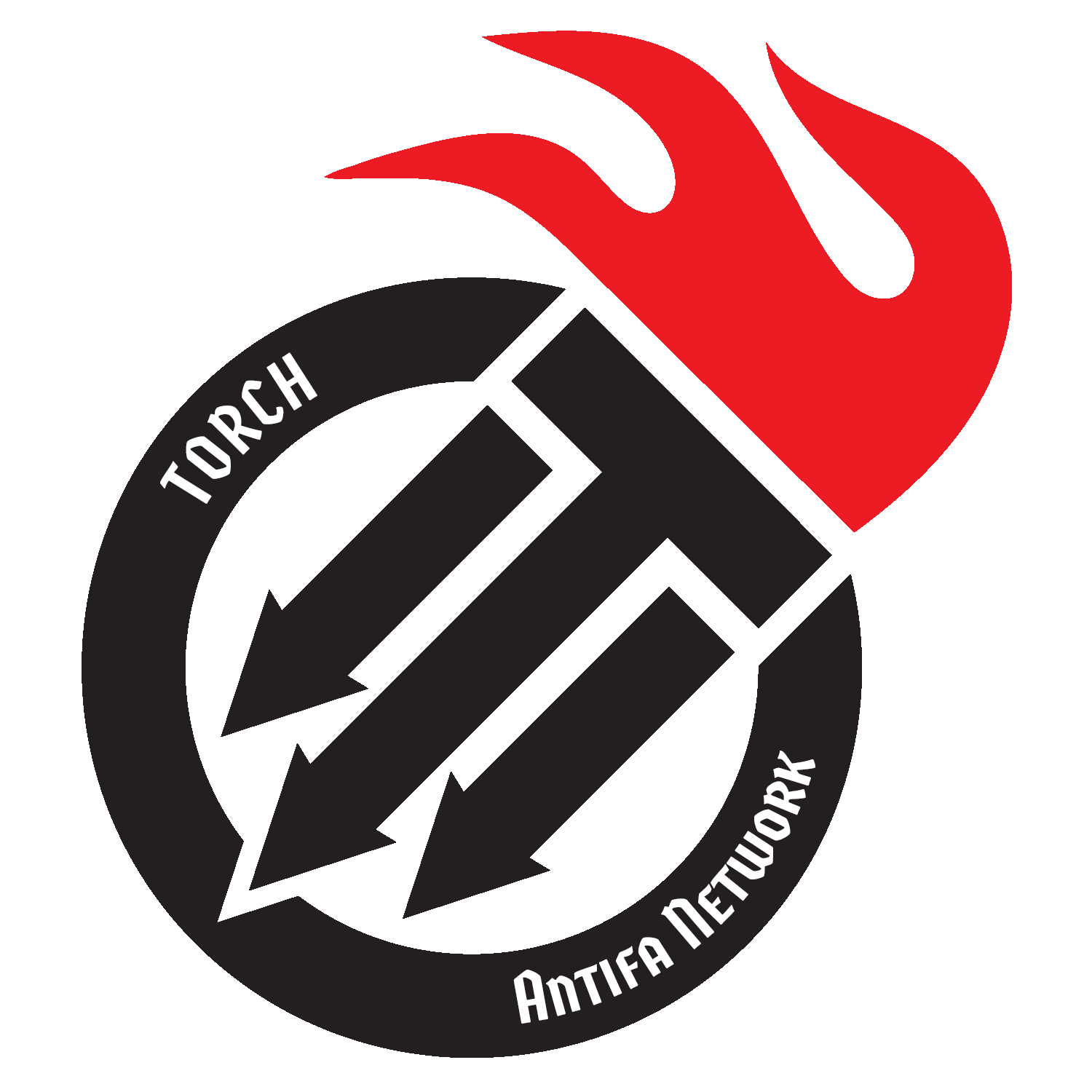 TORCH NETWORK